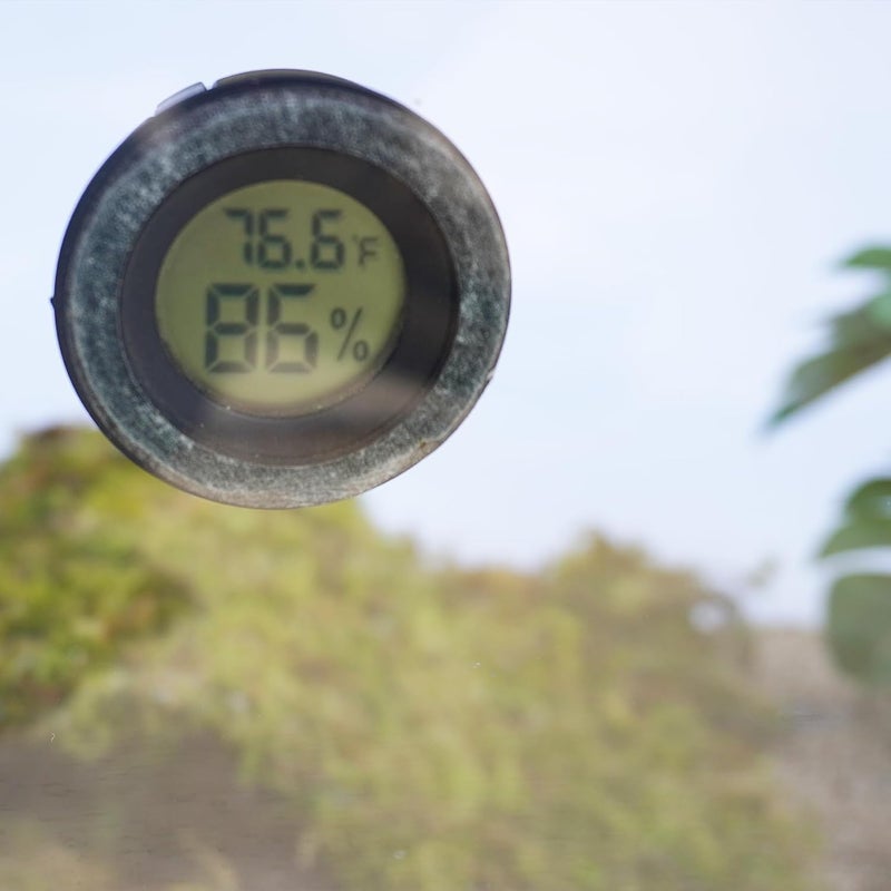 Begeterday Thermometer and Humidity Gauge for Hermit Crab, Ideal Supplies for Hermit Crab Tank - Image 5